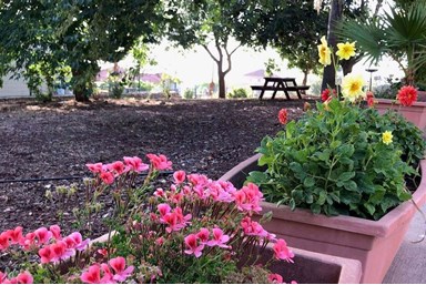 הבית של מיכל