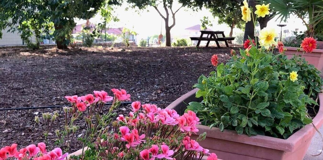 הבית של מיכל הבית של מיכל (12).jpg