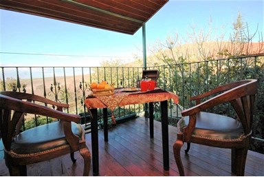 הבית של מיכל - החצר