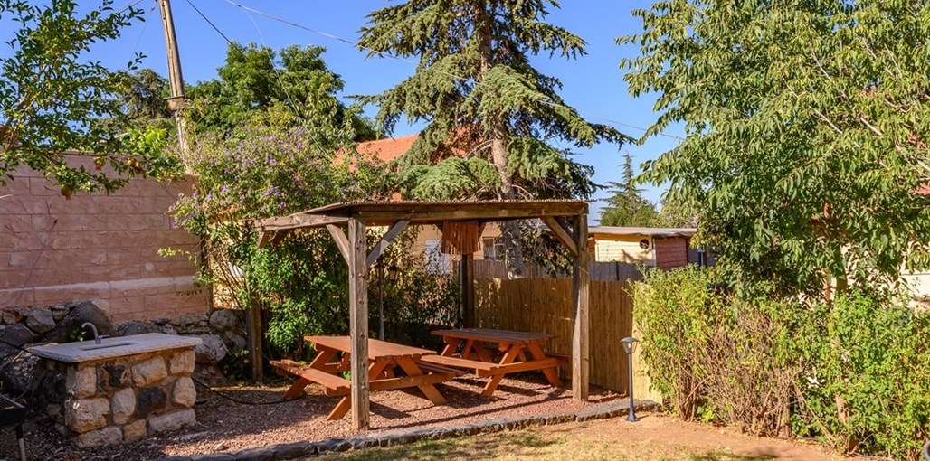 ענבר בהר חצר (16).jpg