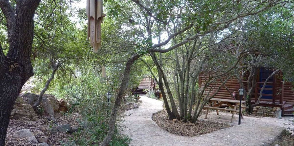 בקתות בחורש בקתות בחורש (7).JPG