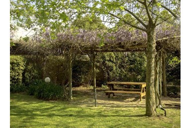 ארומנטיקה - החצר והסביבה