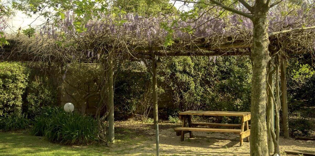 ארומנטיקה חצר וסביבה (2).jpg