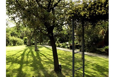 ארומנטיקה - החצר והסביבה