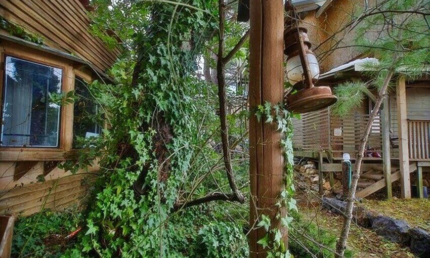 בקתות בערפל הראשונה (1).jpg