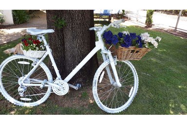 אורחן חוויה