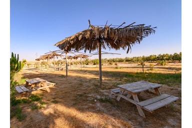 חוות כרמי הר הנגב