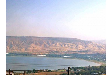 קסם על גג הכנרת - החצר הפסטורלית