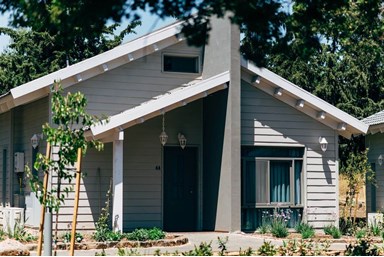 בקתות עץ -תיירות עין זיוון