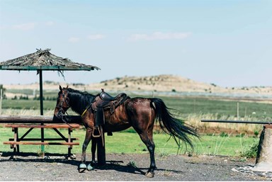 בקתות עץ -תיירות עין זיוון - הבריכה והסביבה