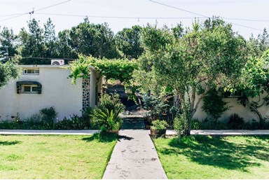 בקתות עץ -תיירות עין זיוון - הבריכה והסביבה