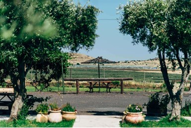 בקתות עץ -תיירות עין זיוון - הבריכה והסביבה