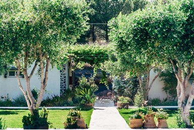 בקתות עץ -תיירות עין זיוון - הבריכה והסביבה