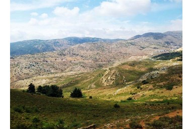 רום 1125 - הנוף והבריכה