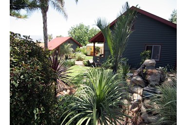 בקתות בצל המכנף