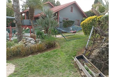 בקתות בצל המכנף - החצר והנוף 