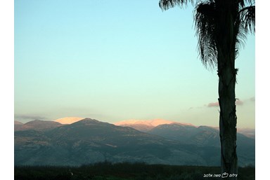 בקתות בצל המכנף