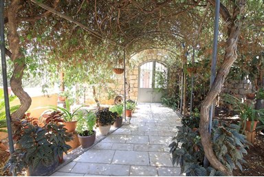 סלע הנוטרים - החצר 