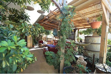 סלע הנוטרים