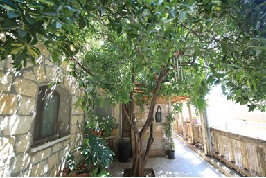 סלע הנוטרים