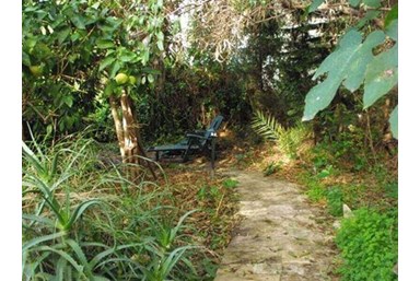 מעלה הרימון - עץ הלימון