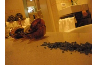 מעלה הרימון - בריכה וסאונה 