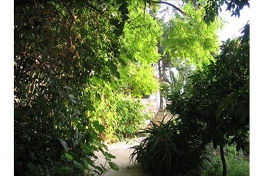 מעלה הרימון - סוויטת הגן