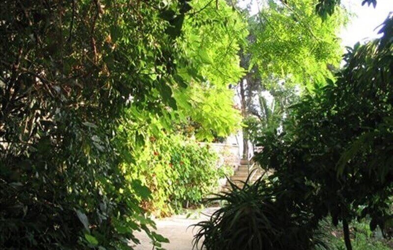 מעלה הרימון גן חבוי (4).jpg