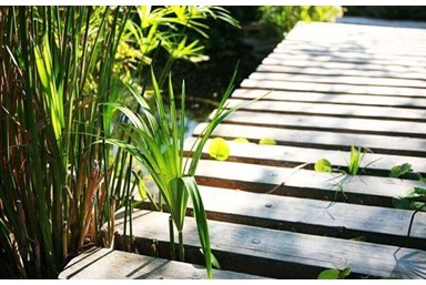 ראקויה - צימרים יפניים - הבקתות היפניות