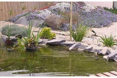 ראקויה - צימרים יפניים - הגנים