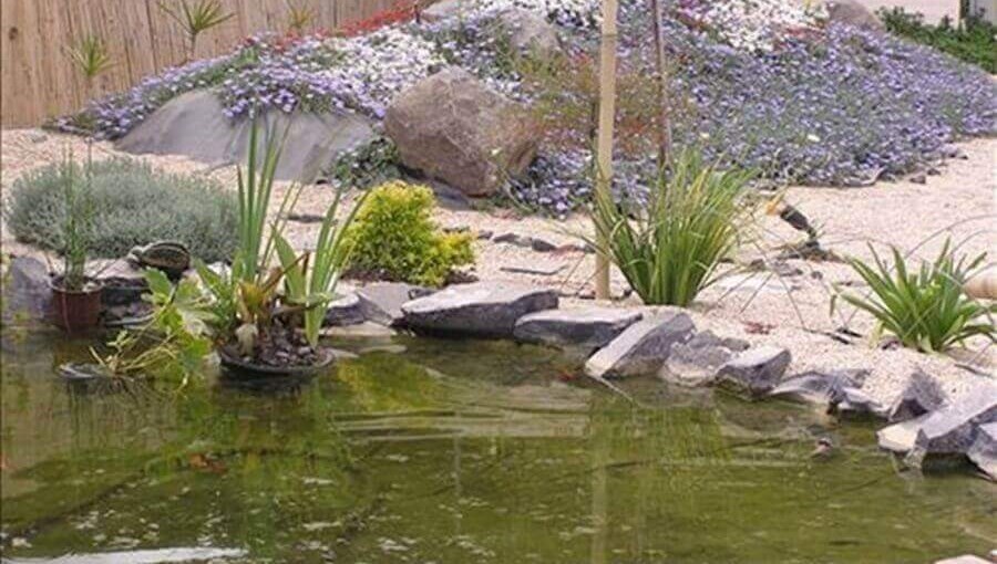 ראקויה - צימרים יפניים הגנים (40).jpg