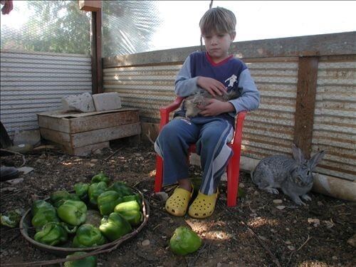 מטמון בערבה 14.jpg