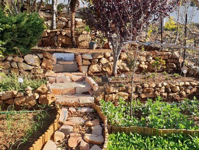 מבט אל הוואדי כללי (1).jpeg