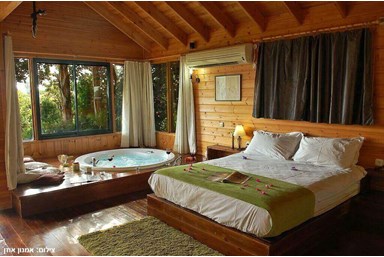 מעוף הציפור 