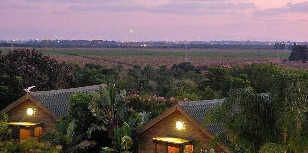 מעוף הציפור החצר (5).jpg