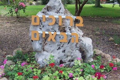 מעוף הציפור 