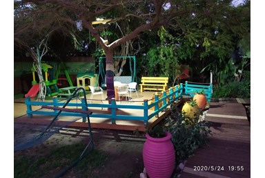 מעוף הציפור 