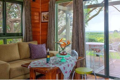 מעוף הציפור  - החצר והבריכה