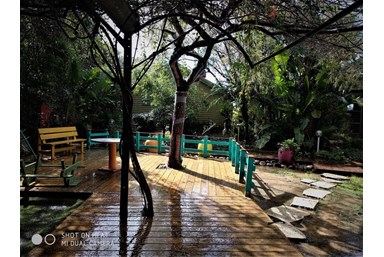 מעוף הציפור  - החצר והבריכה