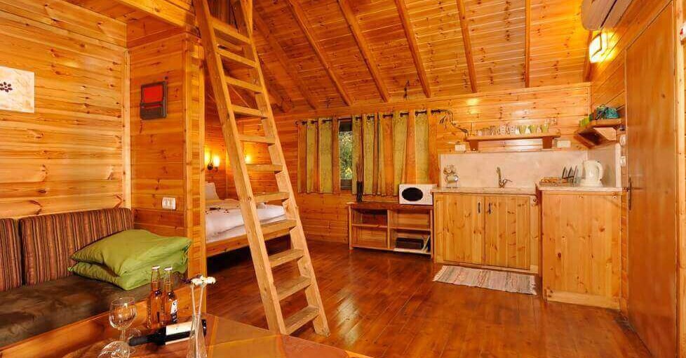 נועם בגליל תמר (3).jpg