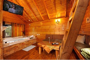 נועם בגליל - בקתת תמר