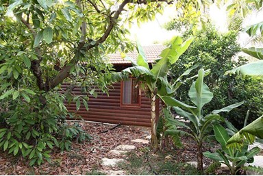 הדרך לאושר - מתחם החצר והבריכה