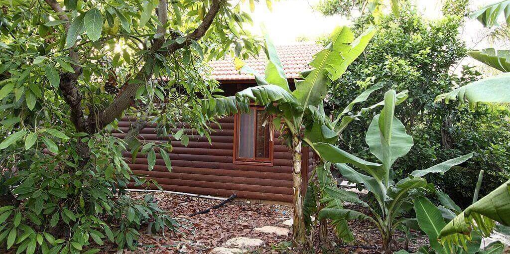 הדרך לאושר החצר (8).jpg