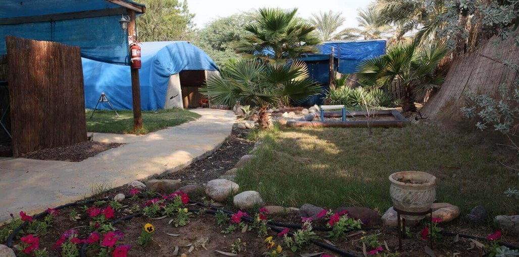 שלווה במדבר חצר המתחם (1).jpg