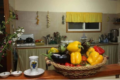 שלווה במדבר - המתחם והחצר