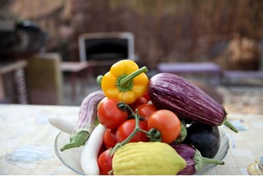 שלווה במדבר - המתחם והחצר