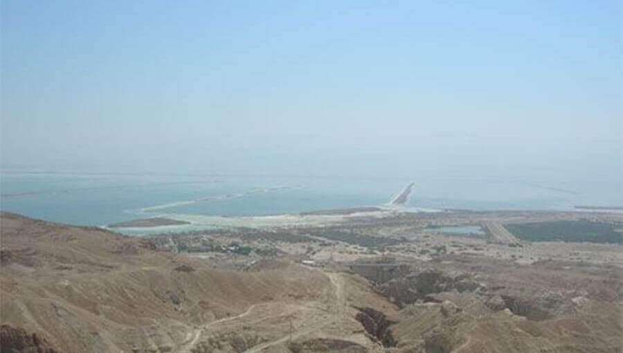 הפינוקים של רוזי נופי ים המלח (3).jpg