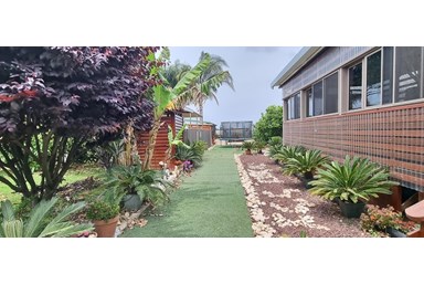 צליל השלווה