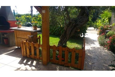 חלום בכפר - משפחתית באלס