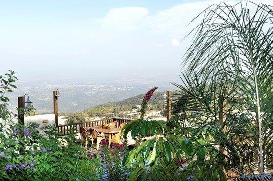 מרום הכרמל חצר (5).jpg